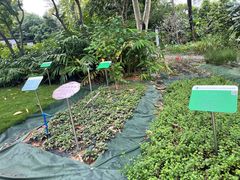 -广东中医药博物馆