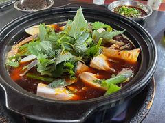 -老杨砂锅鱼庄