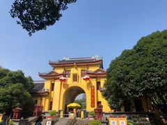 -东西巷