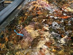 -盒马鲜生(曜一城店)