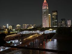 -武汉知音号