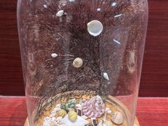 -青岛贝壳博物馆