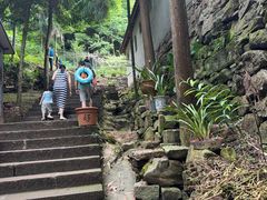 -凤栖山