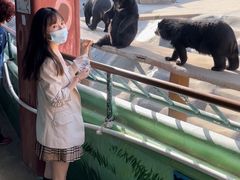 -东方熊牧场