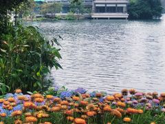 -荔湾湖公园