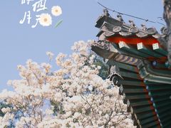 -北京艺术博物馆(万寿寺)
