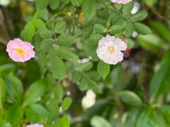 -南京国际青年文化中心