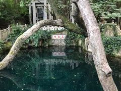 -蝴蝶泉公园