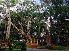 -瑞丽独树成林风景区