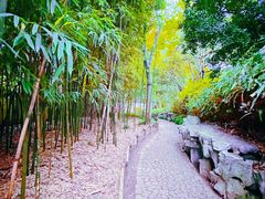 -秋霞圃