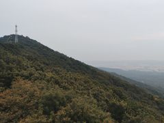 -紫金山山顶公园