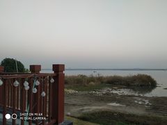 -七的湖·晚芳亭·阳澄湖农家菜·大闸蟹(莲花岛店)