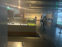 -中国铁道博物馆(正阳门馆)