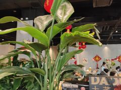 -小大董·烤鸭(五棵松店)