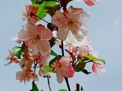 -海棠花溪(元大都城垣遗址公园)