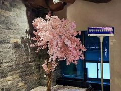 -秘地·影院式足浴SPA(凤三旗舰店)