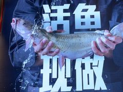 -老板恋上鱼(恒隆广场店)