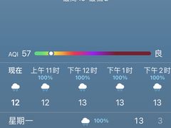 -新興传承烤鸭