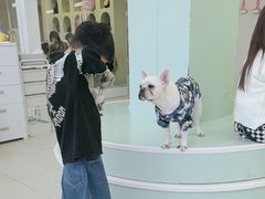 -怪兽屋·羊驼·猫咖·狗咖(俊华广场店)