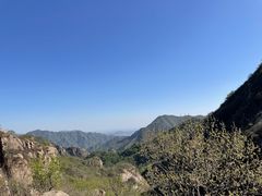 -大岭沟猕猴桃谷风景区