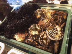 大海胆-苏大嘴海鲜牧场(奥林匹克店)
