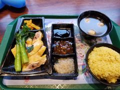 海南鸡饭-雨林餐厅(长隆海洋王国店)