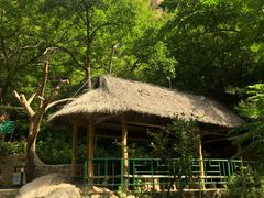 -京东石林峡风景区