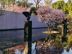 -静安雕塑公园