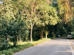 -中国科学院西双版纳热带植物园