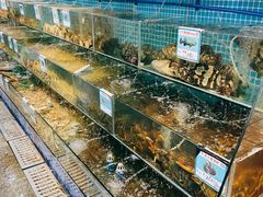 水产区-范饭椰林川湘味海鲜·椰子鸡(三亚湾椰梦长廊店)