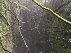 -梦幻奥陶纪景区