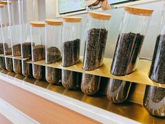 -雾与山茶(大禹城店)