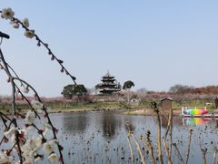 -上海海湾国家森林公园