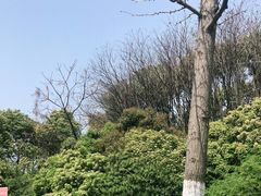 -无锡梅园公园
