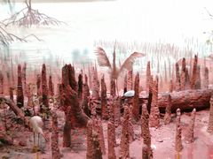 -中国湿地博物馆