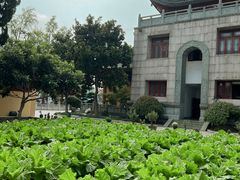 -上海东林寺(金山区)