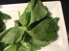 -国际酒店肥牛吧