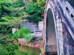 -深圳仙湖植物园