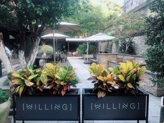 -Willing·Coffee&Brunch&Dinner(万达店)