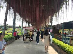 -长廊欢乐园