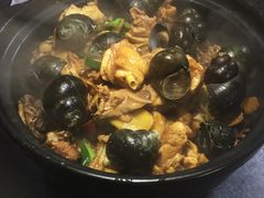 炭炉田螺鸡煲-海兴炭炉鸡(桥中北路店)