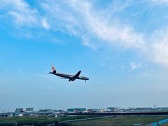 -空港花田景区
