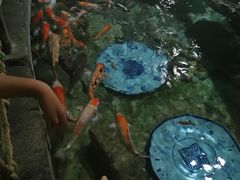 -北京海洋馆