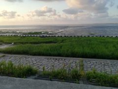 -南汇嘴观海公园