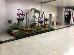 -长沙黄花国际机场-T1航站楼