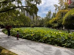 -四川大学(望江校区)