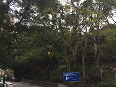 -香港大学