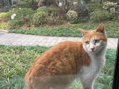 -浙江西子宾馆·瑶园咖啡厅