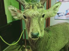 -北海道厅旧本厅舍(旧本庁舎)