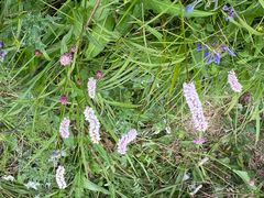 -白草畔自然风景区